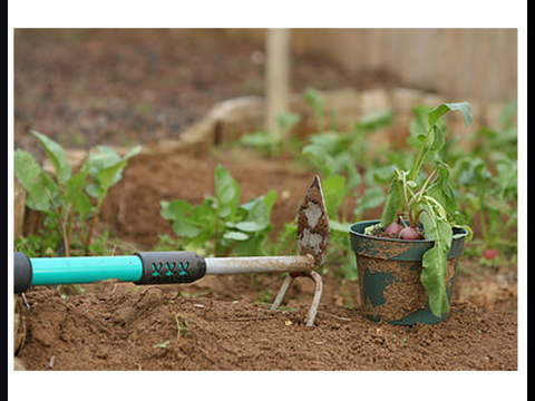 Charla-taller "Agricultura ecológica y abono"