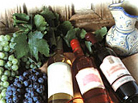 Curso de cata de vinos