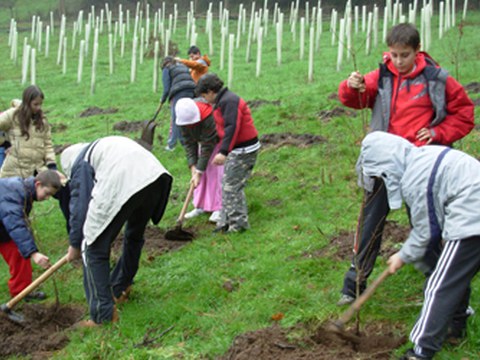 El día del árbol se celebrará el jueves