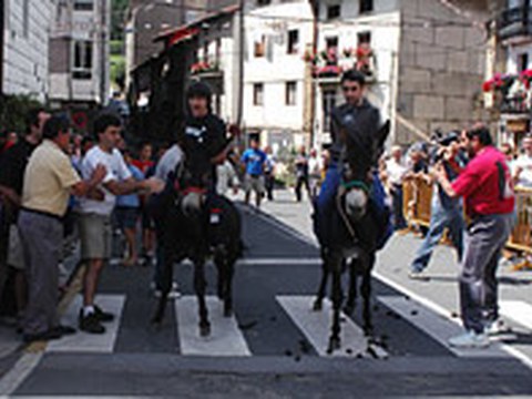 Fiestas de Elgeta 2006, programación