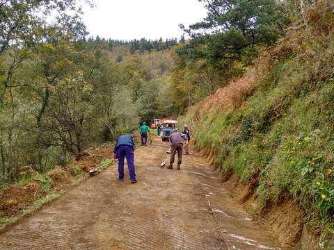 Areka garbiketa egin da auzolanean