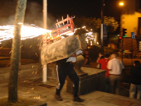 Ferixa Nagusia 2010: egitaraua